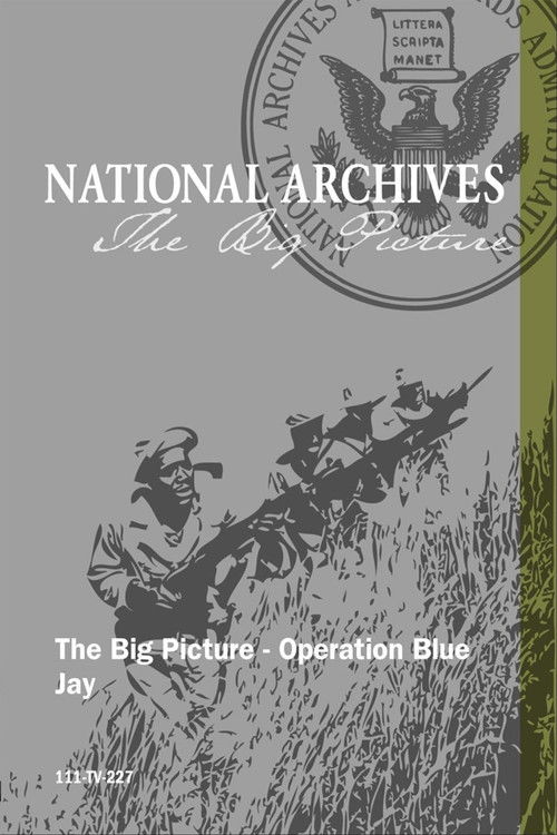 Operation Blue Jay Poster