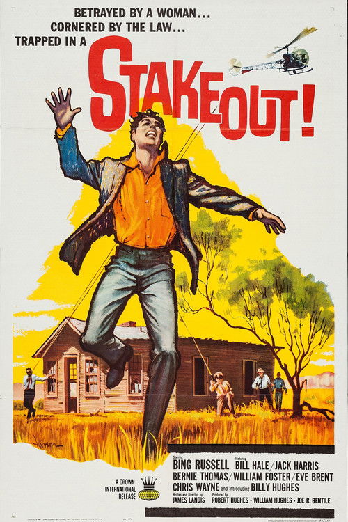 Stakeout! Poster