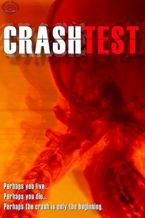 Crash Test Poster