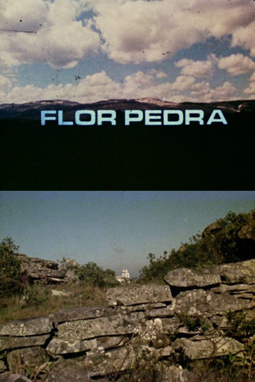 Flor Pedra Poster