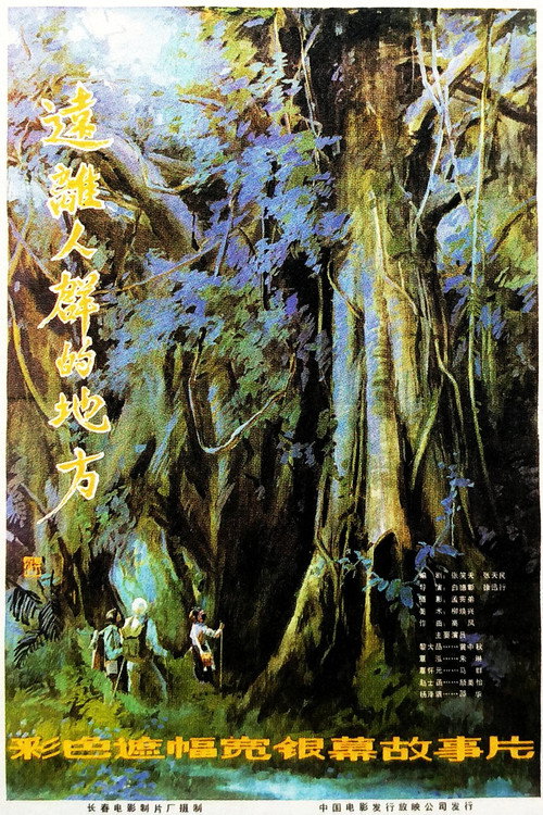 Remote Place Poster