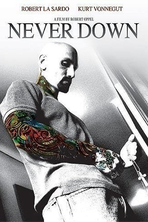 Never Down Poster
