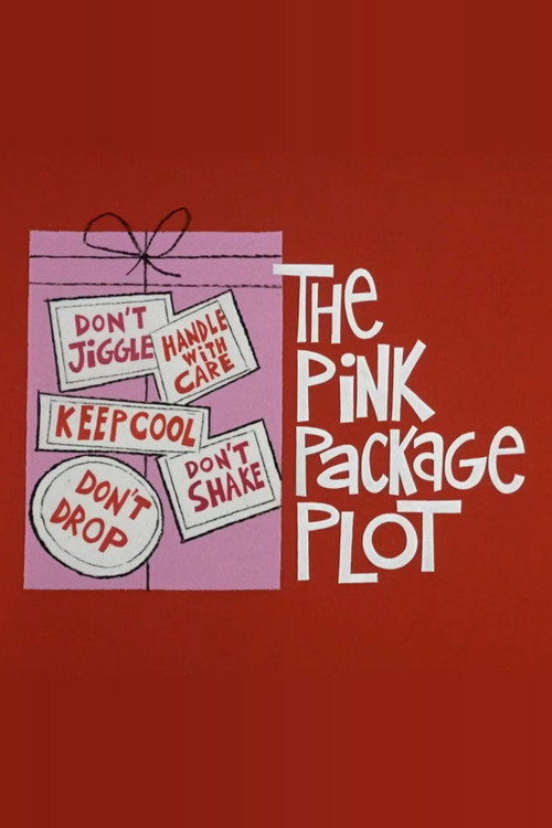 The Pink Package Plot Poster