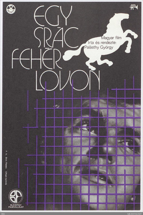 A Lad on White Horse Poster