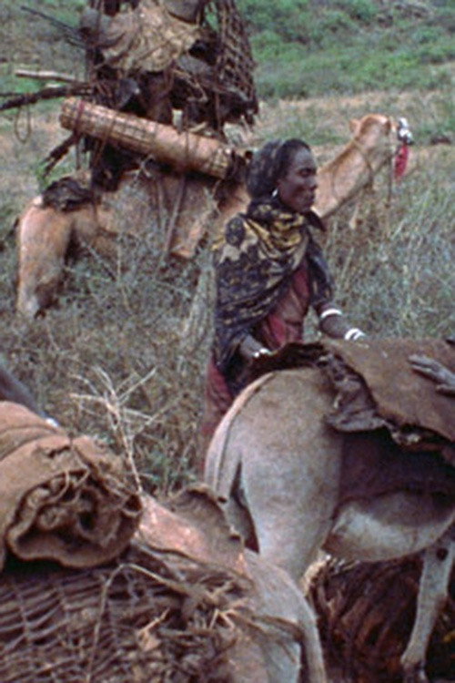Boran Women Poster