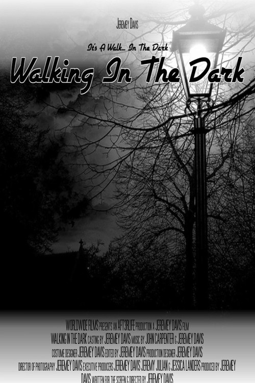 Walking In The Dark Poster