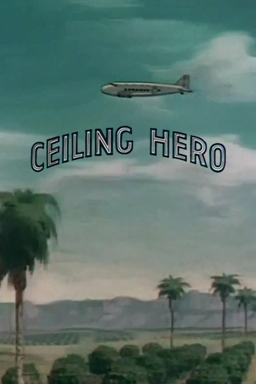 Ceiling Hero Poster