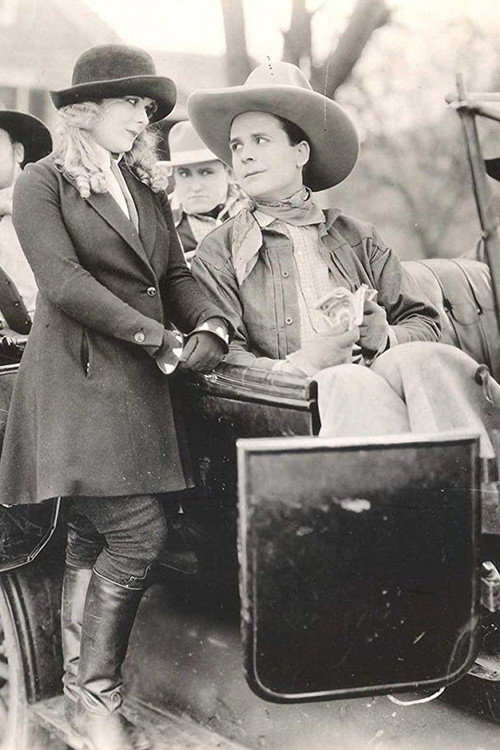 Bashful Whirlwind Poster