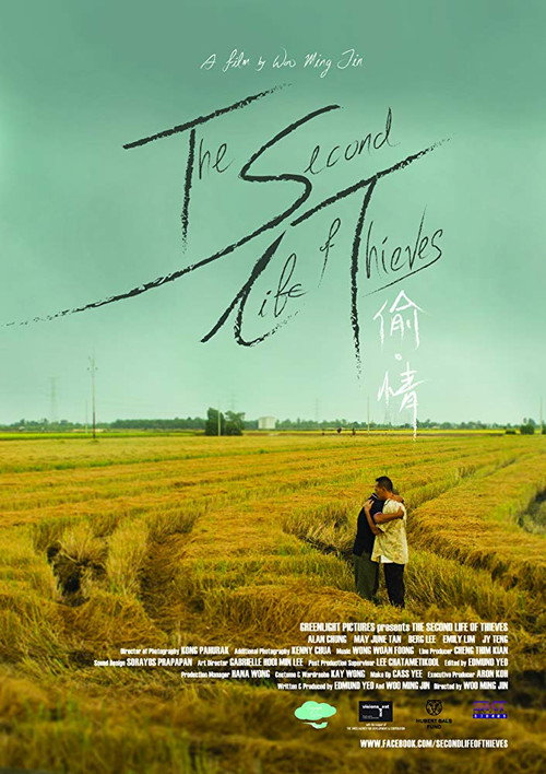 The Second Life of Thieves Poster