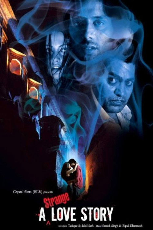 A Strange Love Story Poster