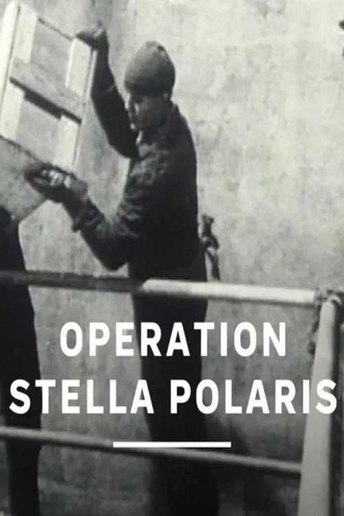 Operation Stella Polaris Poster