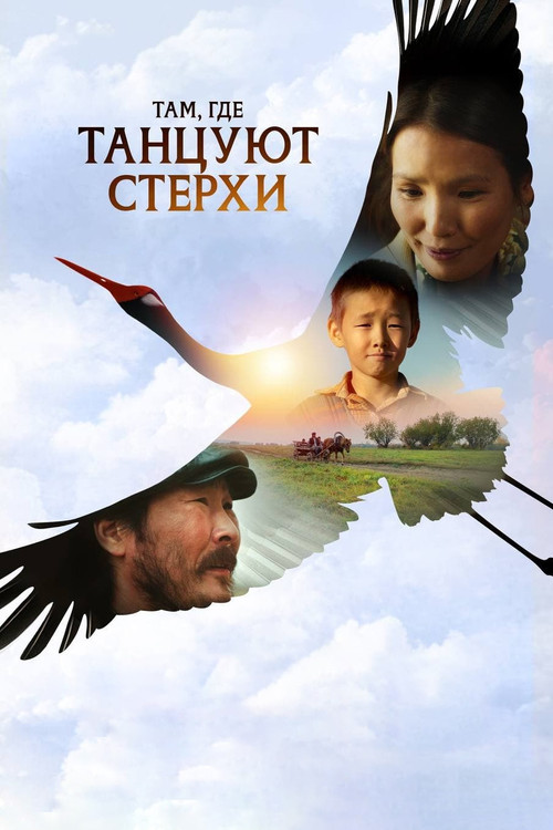 Where the White Cranes Dance Poster