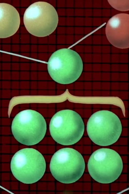 D-ale organigramei no. 1 Poster
