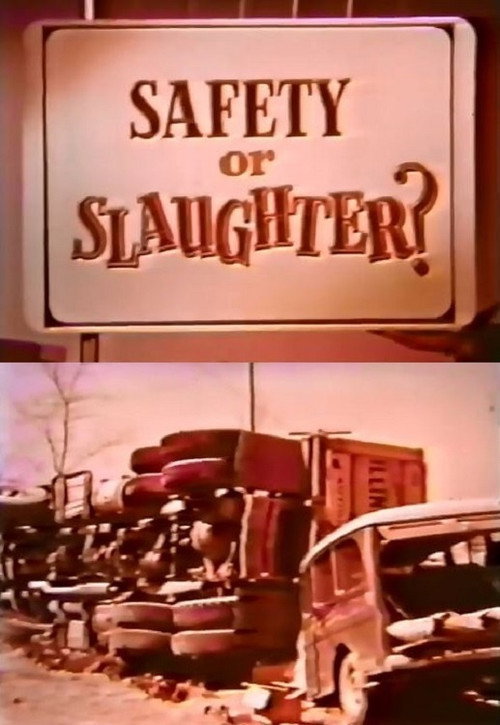 Safety Or Slaughter? Poster