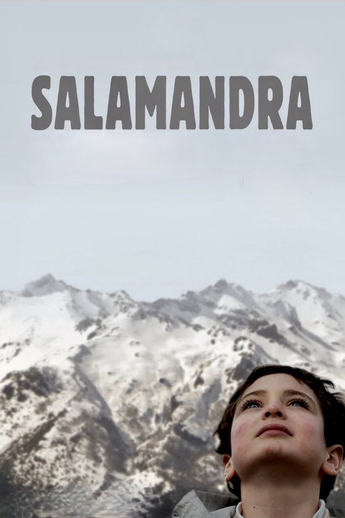 Salamander Poster
