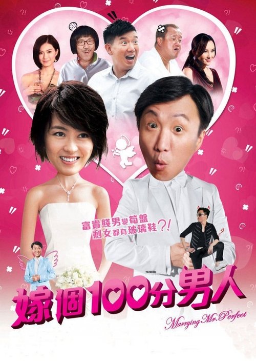 Marrying Mr. Perfect Poster