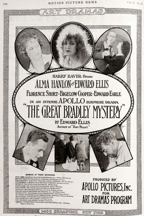 The Great Bradley Mystery Poster