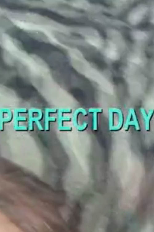 Perfect Day Poster