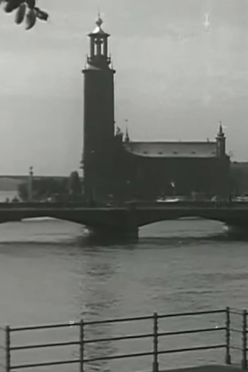 Venice of the North Poster