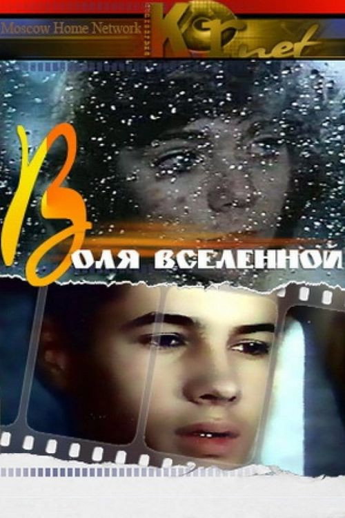 Will of Universe Poster