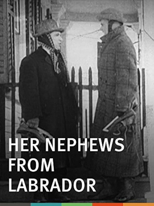 Her Nephews from Labrador Poster