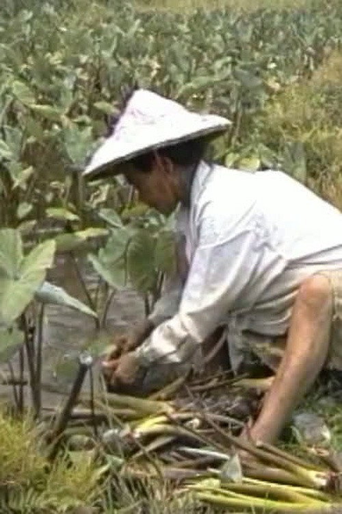 Among the Yami Poster