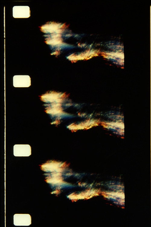 The Text of Light Poster