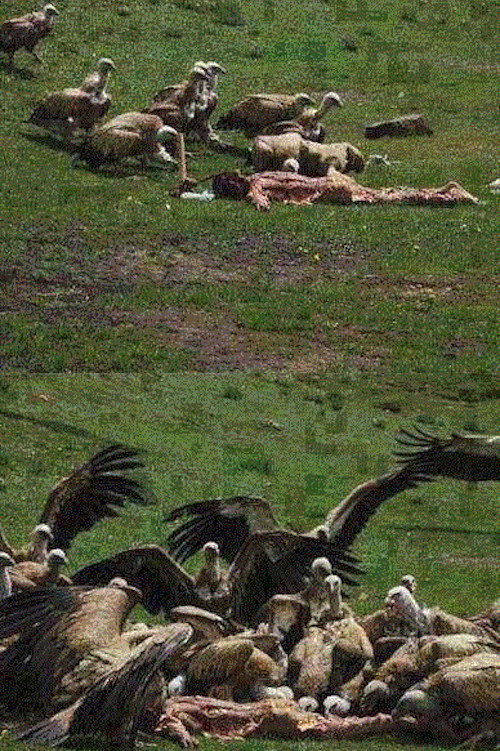 Celestial Burial Poster