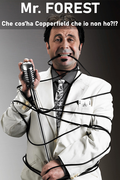 Che cos'ha Copperfield che io non ho?!? Poster