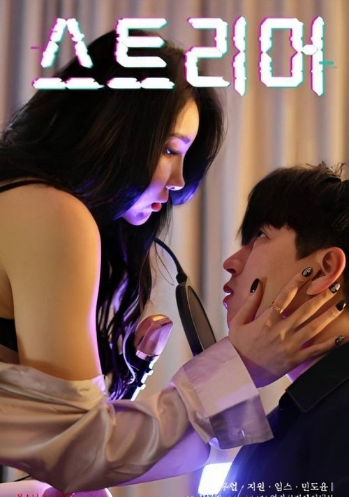 Adult Streamer Poster