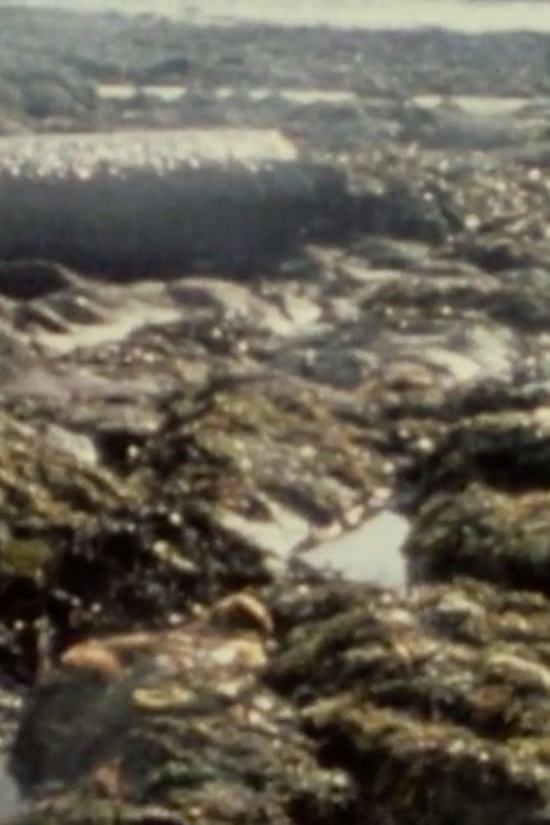 After the Bohlen Poster