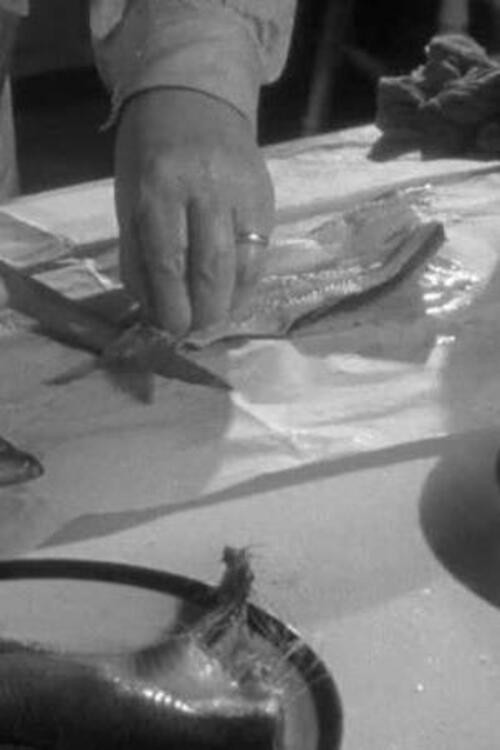 Herrings Poster