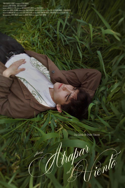 Para atrapar el viento Poster