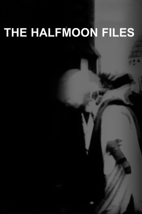 The Halfmoon Files Poster