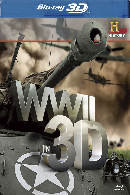 WWII in 3D Poster