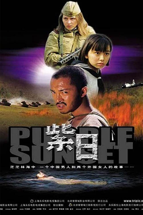 Purple Sunset Poster