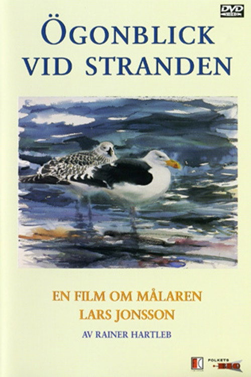 Ögonblick Vid Stranden Poster
