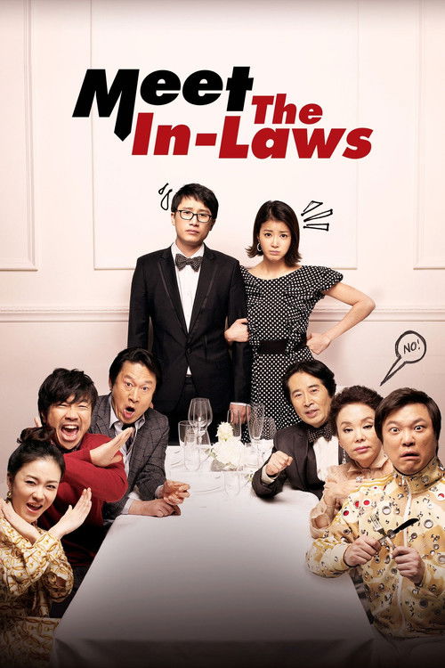 Meet the In-Laws Poster