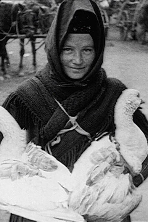 Travelogue of Hungary and Budapest Poster