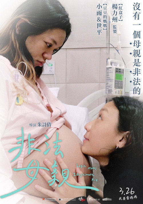 Legit Moms, Illegitimate Kid Poster