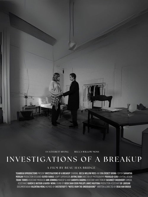 Investigations of a Breakup Poster