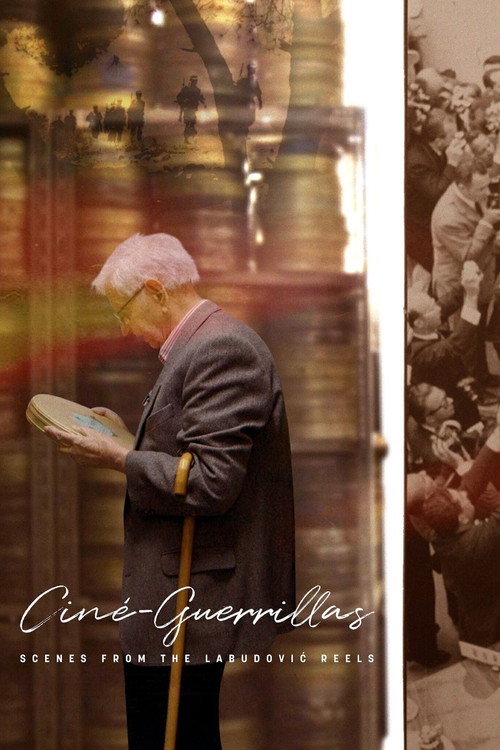 Ciné-Guerrillas: Scenes from the Labudović Reels Poster