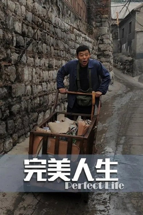 完美人生 Poster