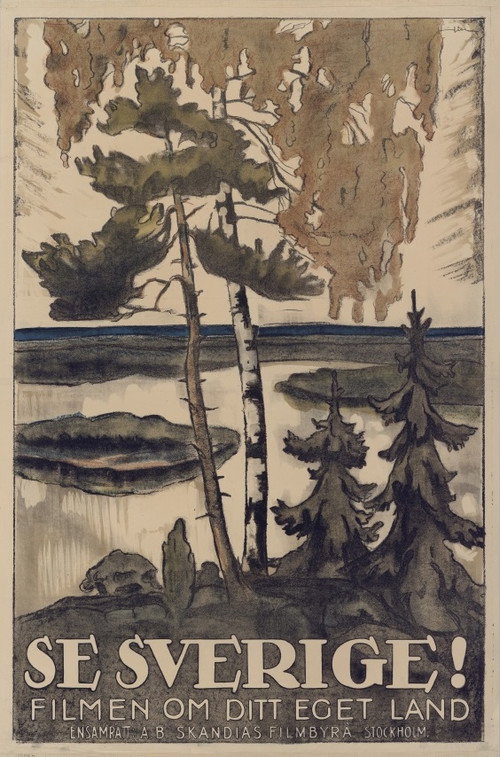 Se Sverige! Poster