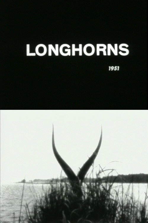 Longhorns Poster
