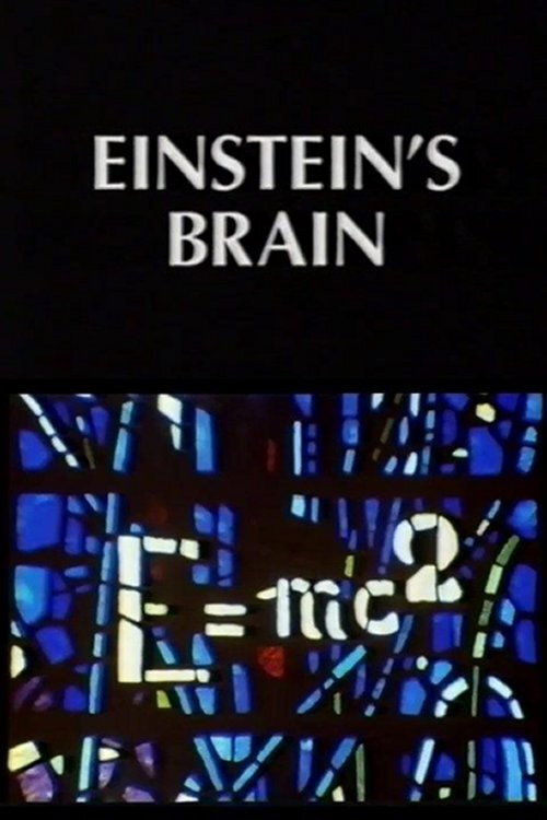 Relics: Einstein's Brain Poster