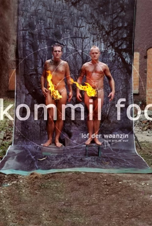 Kommil Foo: Lof der Waanzin Poster