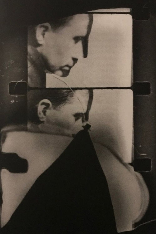 Images Overtaken by the Wheel of Duchamp Poster