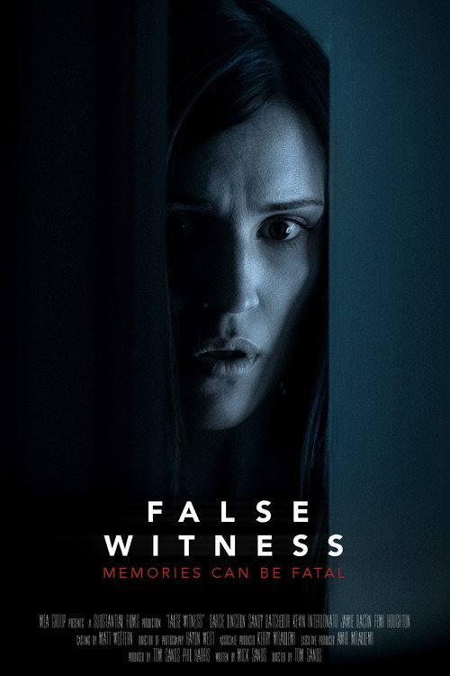 False Witness Poster