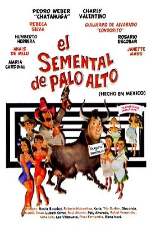 El semental de Palo Alto Poster